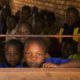 Article : Tchad : une rentrée scolaire incertaine